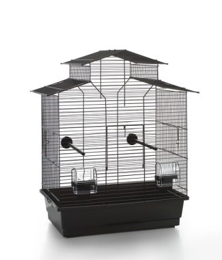 VOGELKOOI IZA 2 PAGODE ZWART