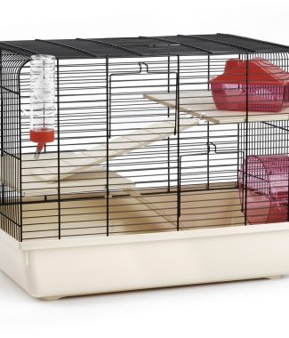 KNAAGDIERENK REX 2 ZWT/BGE 59X38X43