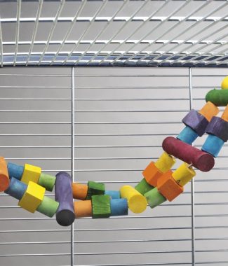 PAPEGAAIEN LADDER+BLOKKEN 64X18