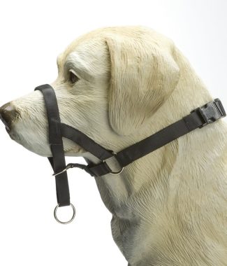 DOG CONTROL 7 ZWART