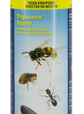 Topscore Kruipende insecten