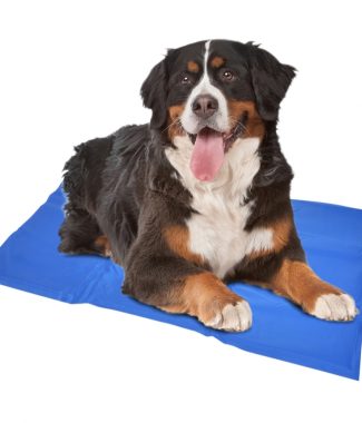 Duvo+ koelmat blauw X Large