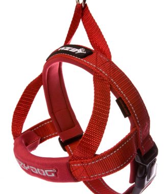 EzyDog Quick Fit tuig M Rood