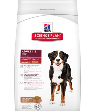 Hill's Science Plan Canine Adult Large Breed Lamb&Rice 12 kg