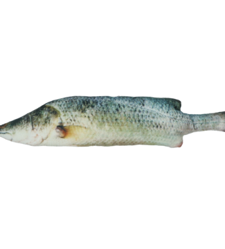 Totally Hooked kattenspeeltje Bass M 30 cm