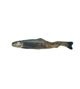 Totally Hooked kattenspeeltje Rainbow Trout M 30 cm