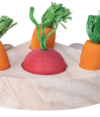 Quapas! - Veggie Snack Puzzle Triangle