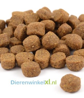 Bikkel - Premium - Maintenance Medium Breed
