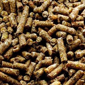 Garvo - Kuikenkorrel 2mm (702)