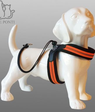 Tre Ponti - Liberta Fluopop - Oranje maat 2,5 (5-6kg)