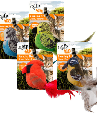 Afp - Naturel Bouncing Birds