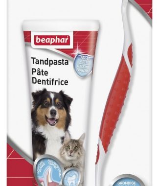 Beaphar -Tandpasta met Tandenborstel