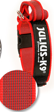Halsband met handvat en tekstlabel - Rood - 40mm x 38-53cm