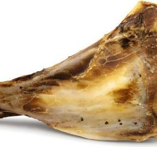 Bonezz - Schouderblad - 1 st