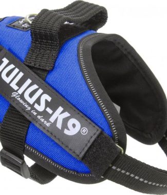IDC Powertuig Blauw - Maat Mini Mini