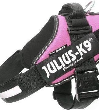 IDC Powertuig Roze - Maat 2