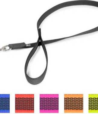 Korte lijn hond - Antislip - 20mm - Met handvat