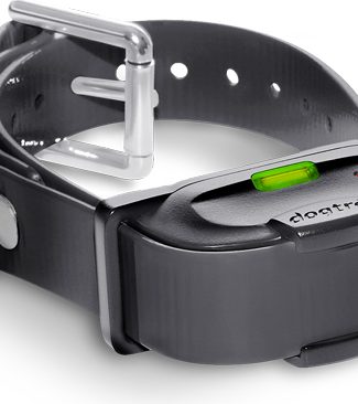 Dogtra halsband IQ Mini