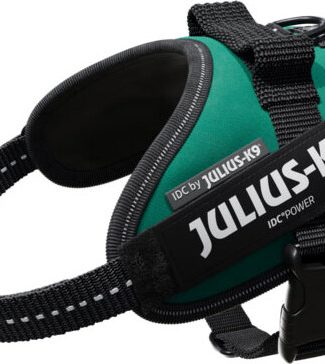 IDC Powertuig Dark Green - Maat Mini Mini
